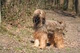 BRIARD 002